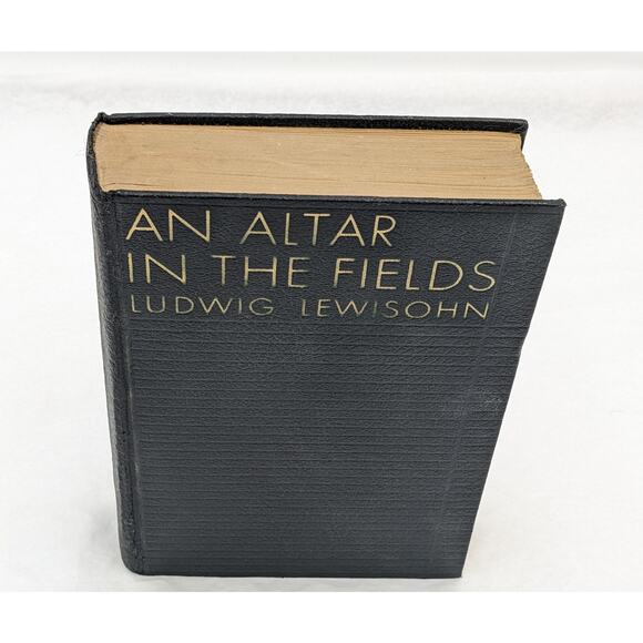 An Altar In The Fields By Ludwig Lewisohn Vintage Novel First Edition 1934 - Picture 4 of 15